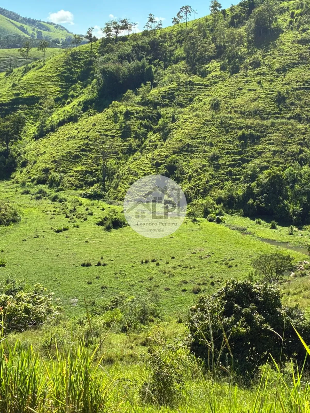 Imagem Fazenda/Sítios/Chácaras de 480000m² no bairro Carmo, em Carmo