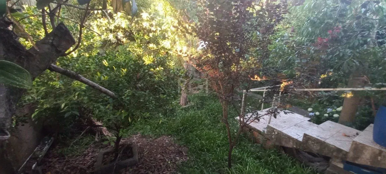 Imagem bela casa com grandes ambientes no campo novo