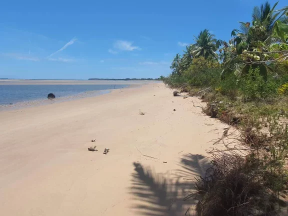 Imagem LAGOA AZUL - CAMPINHO