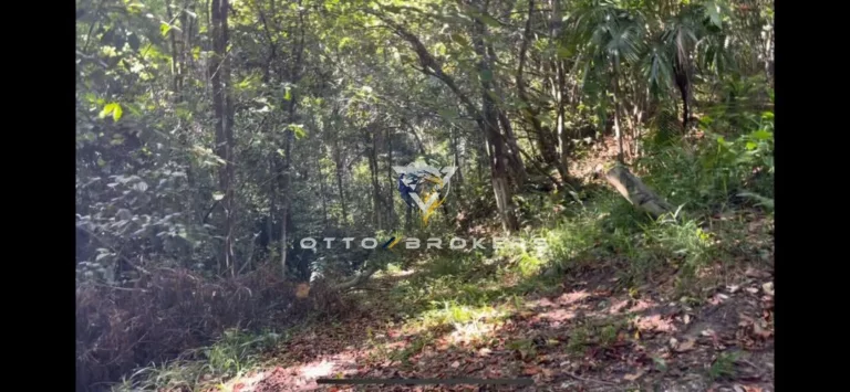 Imagem TERRENO TEMPORADA em PORTO SEGURO - BA, Pitinga