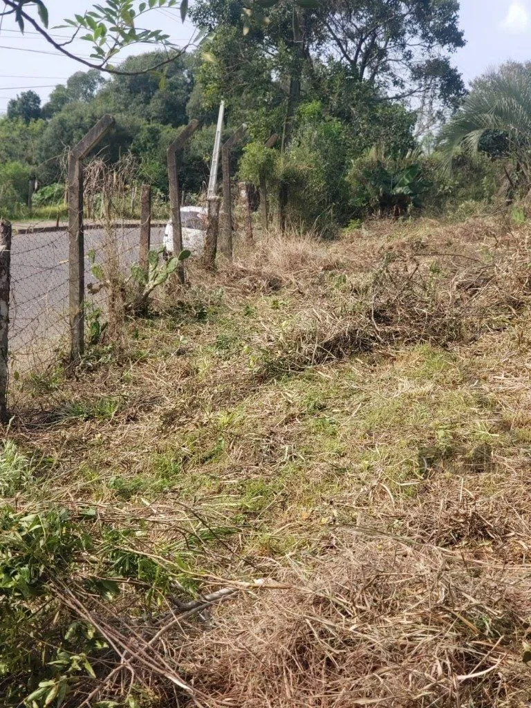 Imagem Terreno em Vila Nova
