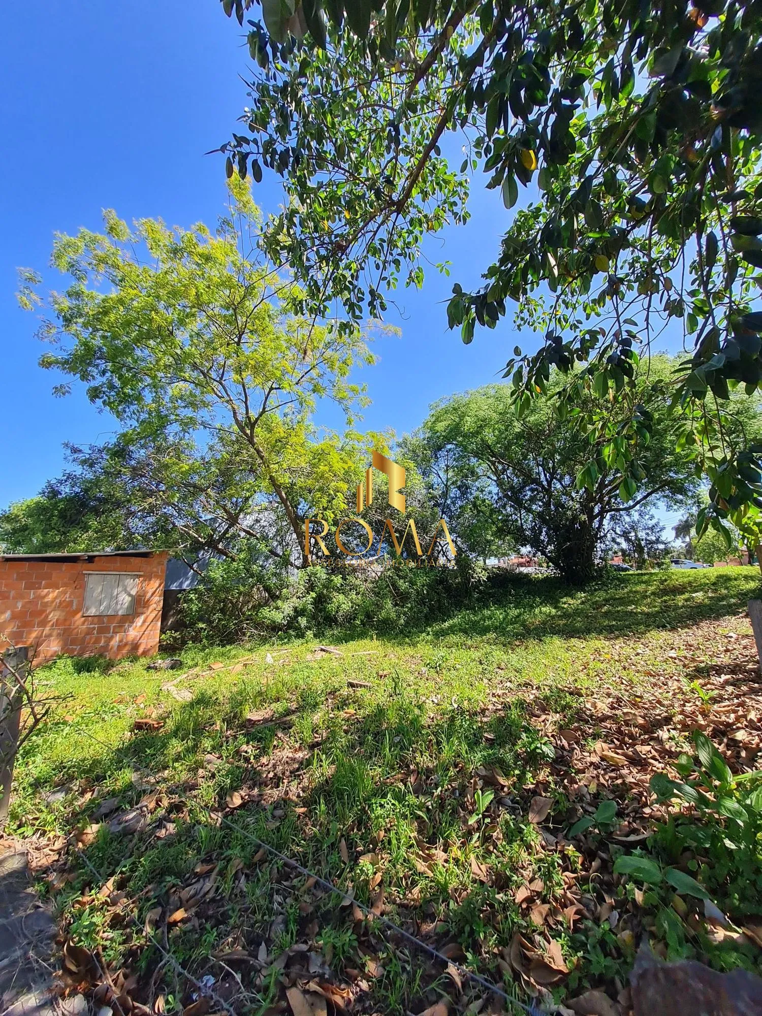 Imagem Terreno à venda São José Santa Maria/RS
