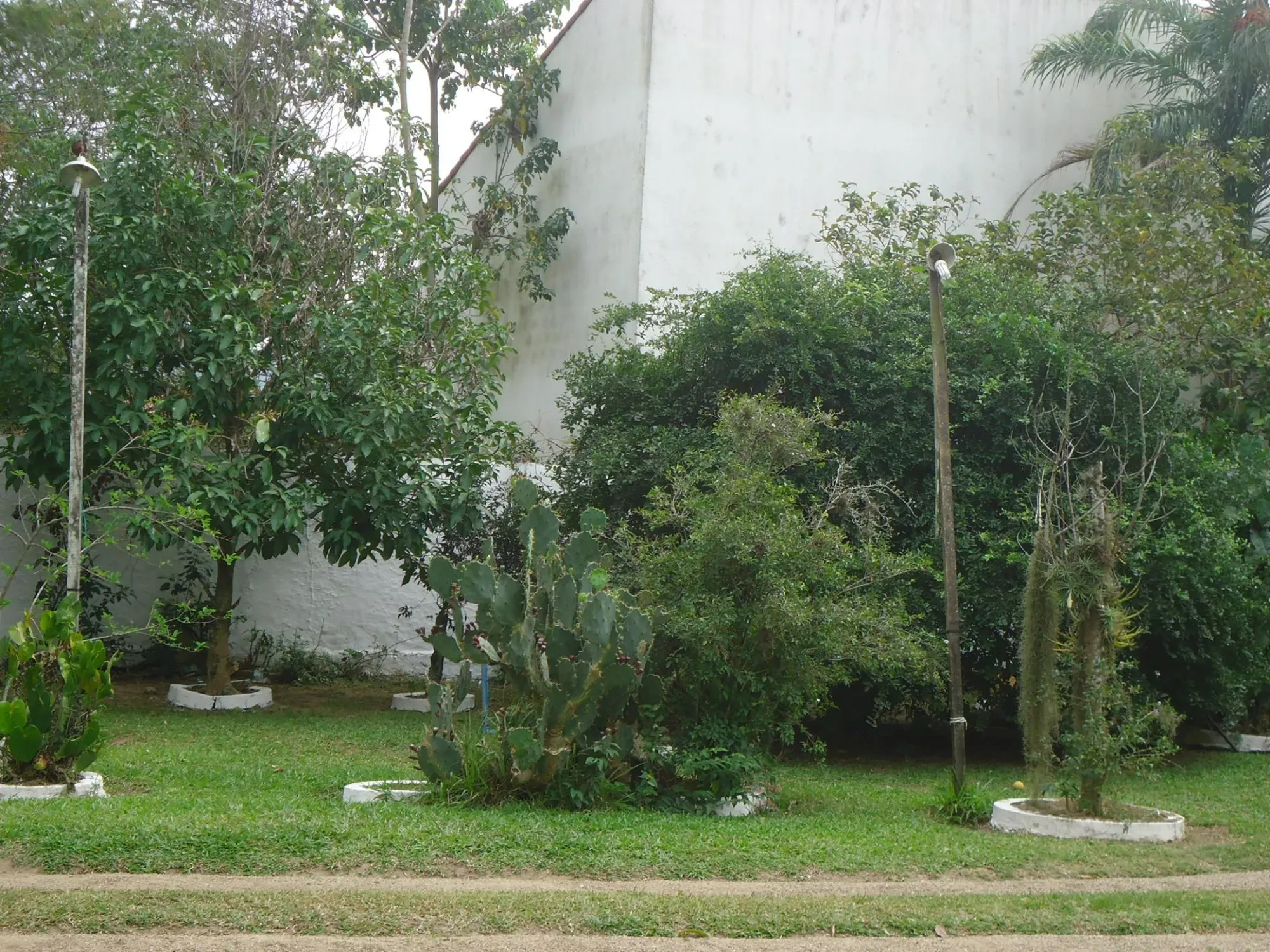 Imagem Casa com 3 Quartos à Venda, 95 m² em Engenho do Mato - Niterói