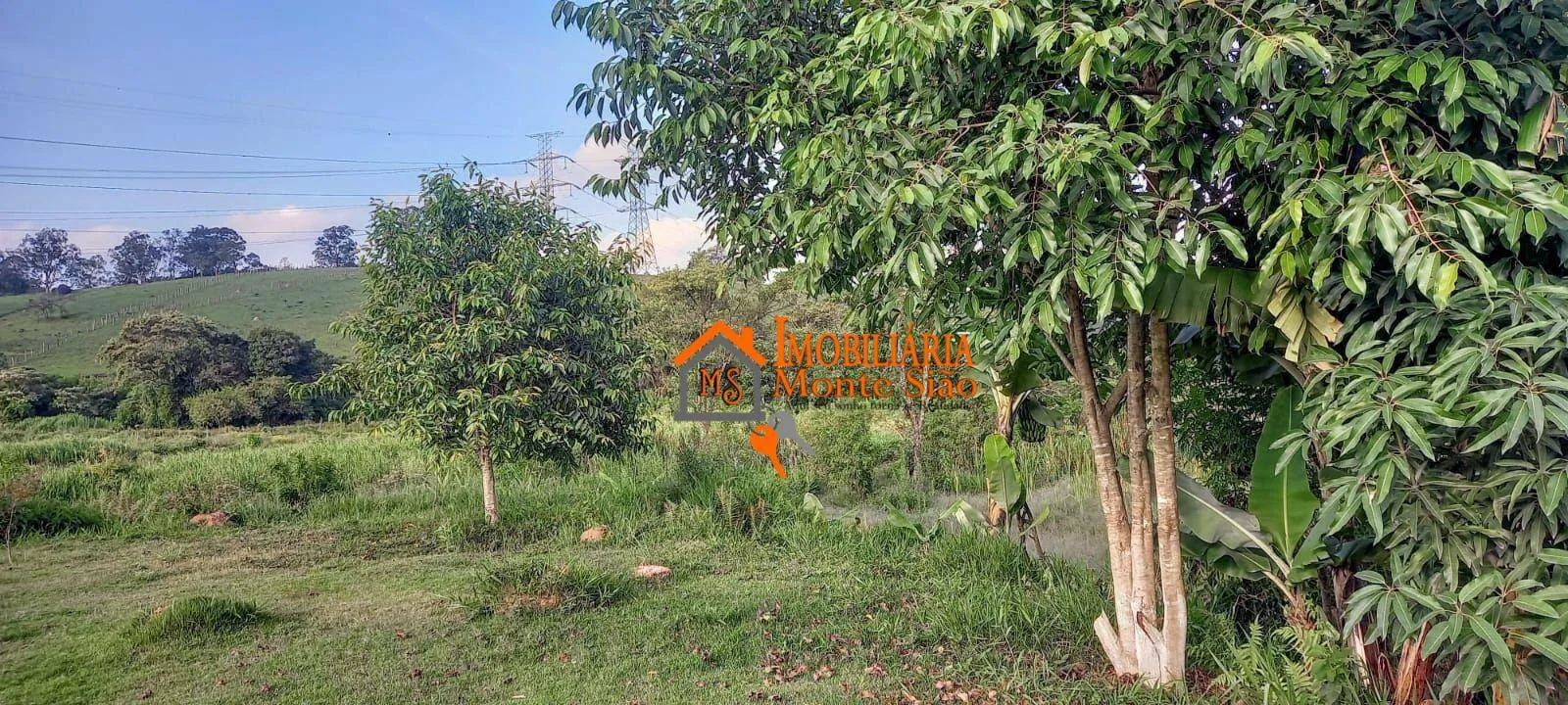 Imagem Área à venda, 22000 m² por R$ 8.000.000,00 - Rio Abaixo - Itaquaquecetuba/SP