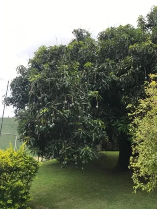 Imagem Casa de Campo à Venda no Condomínio Porta da Concórdia