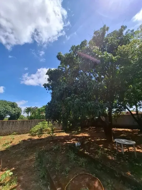 Imagem Chácara à venda em Araçoiaba da Serra-SP: 3 quartos, 1 suíte, 3 banheiros, rico pomar, campo de futebol