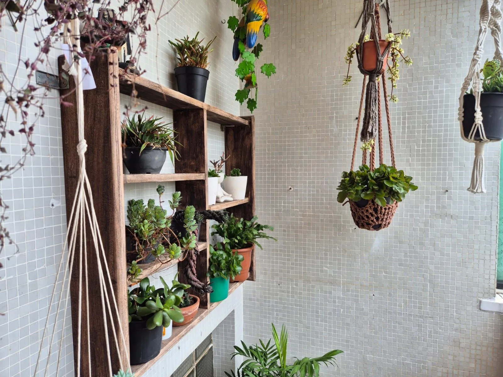 Imagem 2 Dormitórios com terraço
