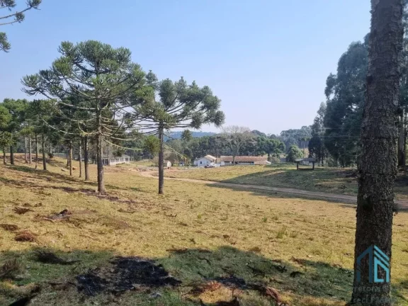 Imagem Sítio/Chácara a venda com 33 hectares bem localizado no interior de São Joaquim - SC