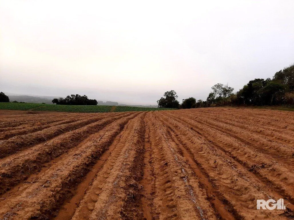 Imagem Area de terras cultivaveis