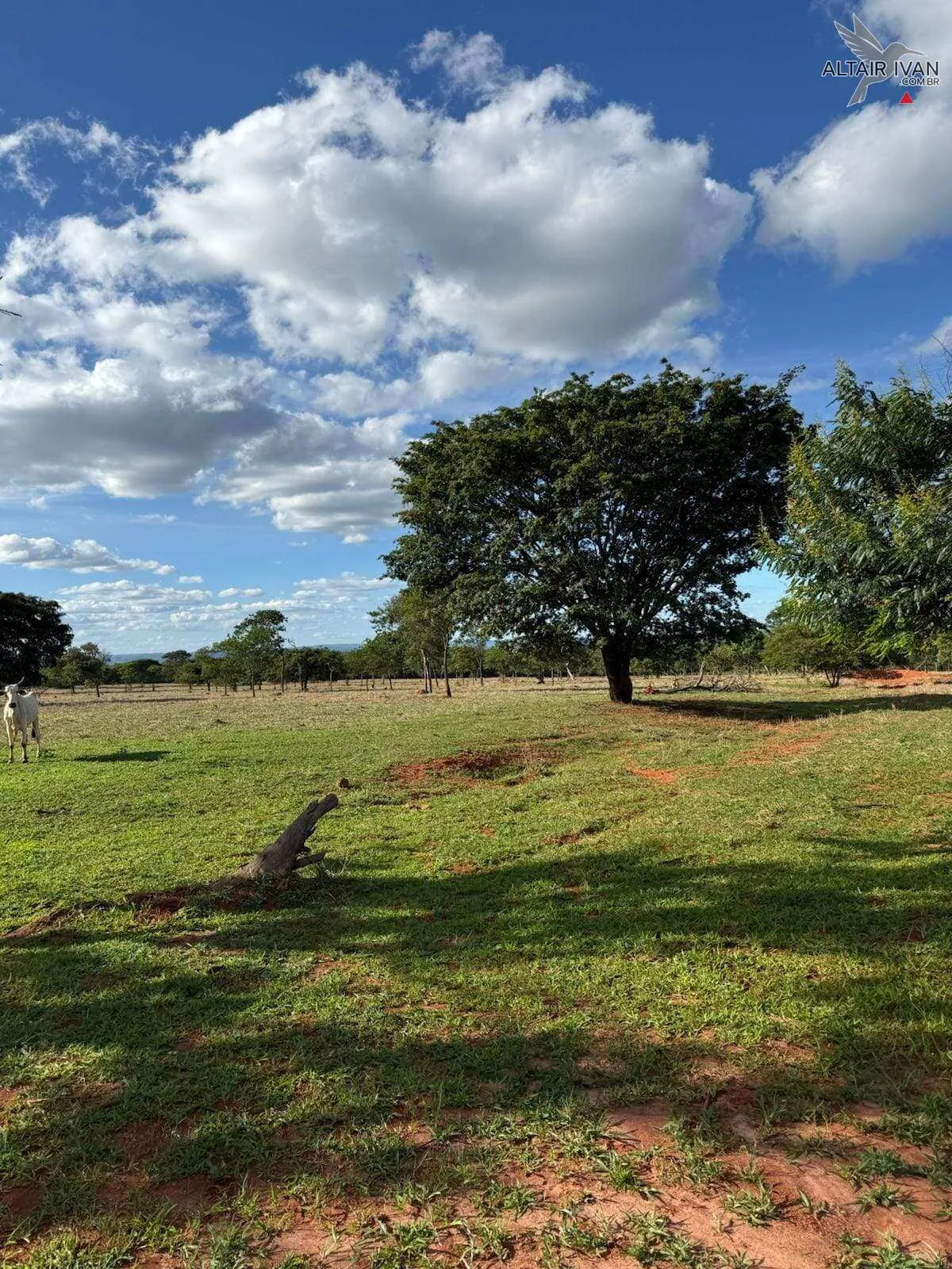 Imagem Fazenda em Bocaiuva MG