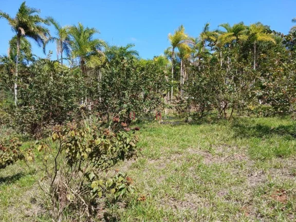 Imagem Chácara com 3 dormitórios à venda, 24309 m² por R$ 1.296.000 - Fazenda Primavera - Itatiba/SP