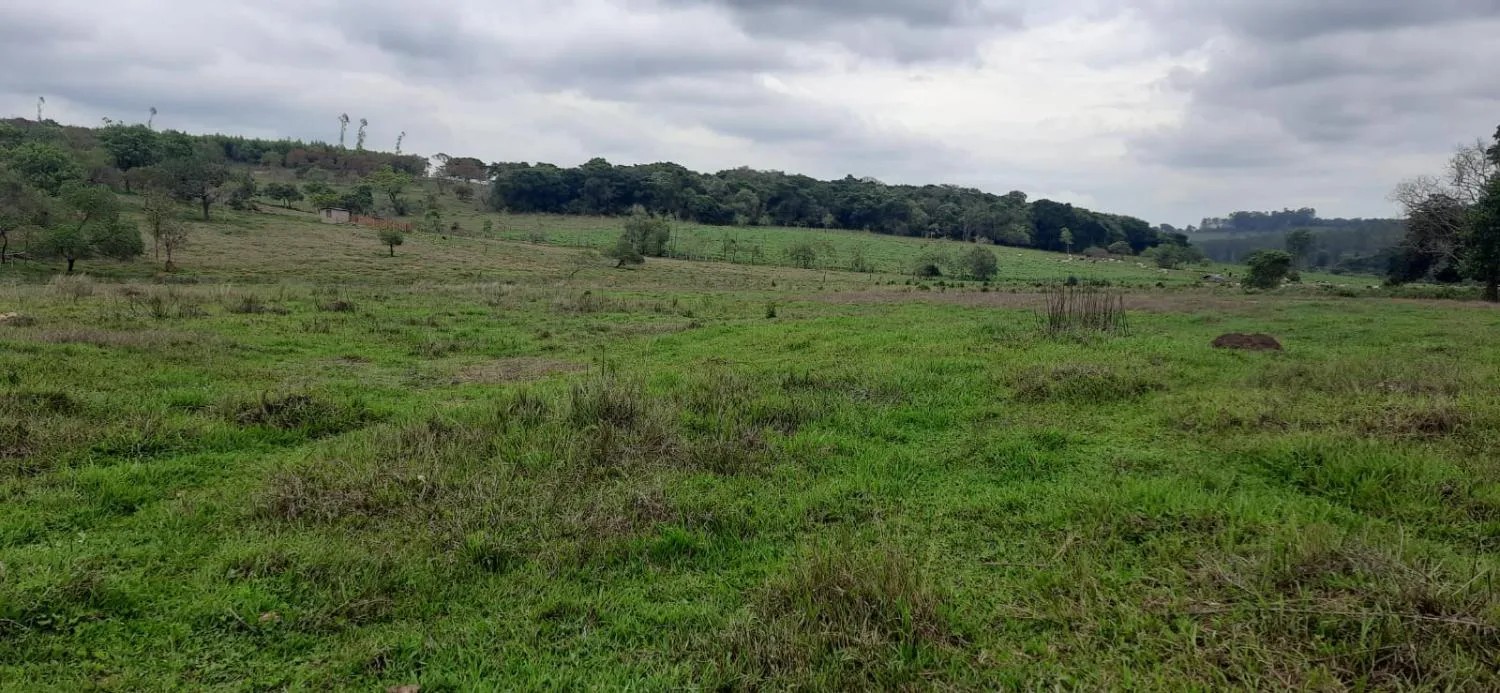 Foto do imóvel Terreno à Venda em Carmópolis de Minas 13,5 hectares, todo formado