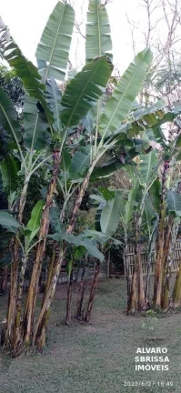 Imagem Ótima chácara na zona rural de itu em um condomínio fechado Itu/SP
