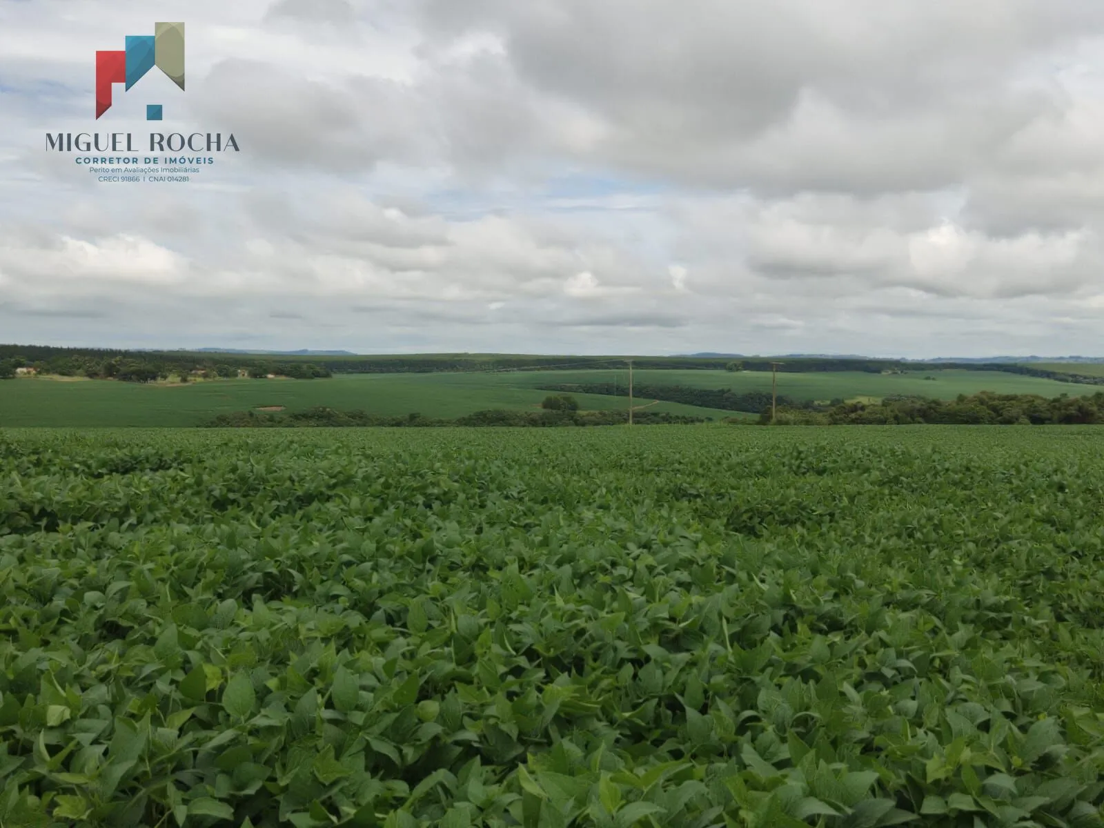 Imagem Fazenda região Itapetininga SP