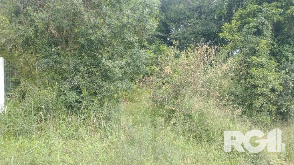 Imagem Terreno em Fiuza