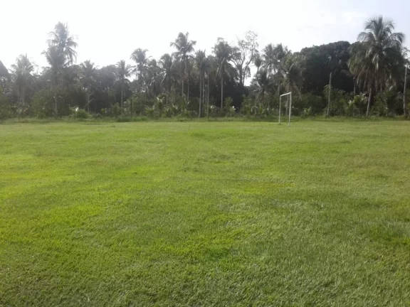 Imagem Lindo e confortável sítio na estrada de Itacoatiara , no km 58 , com casa , piscina e plantações