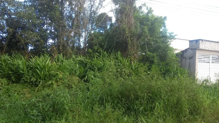 Imagem Terreno para Venda em Itanhaém, Jardim Luiza Mar Mirim