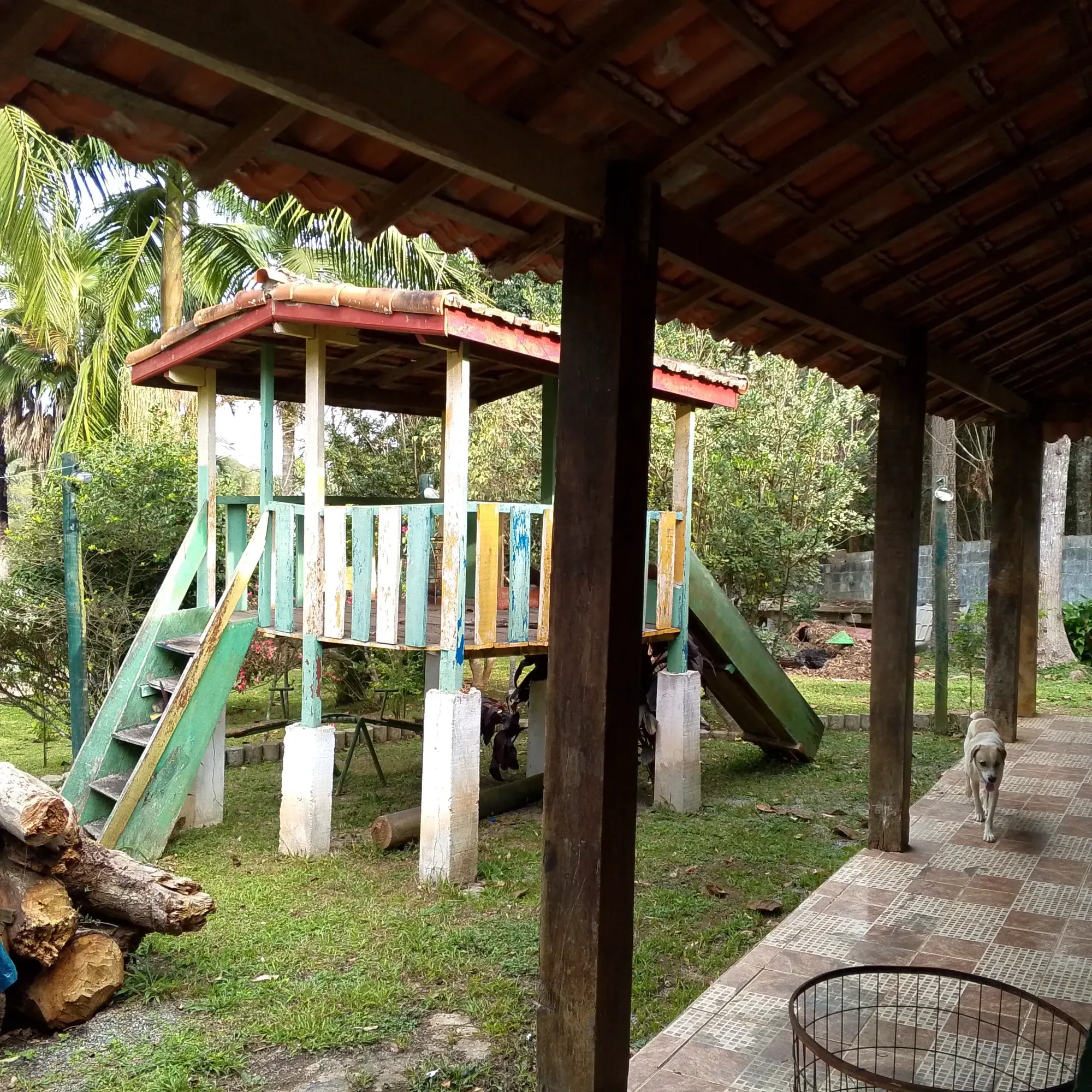Imagem Chácara com 3 Quartos à Venda, 12.000 m² em Jardim das Cerejeiras - Cotia