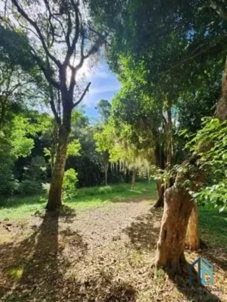 Imagem (PERMUTA) Chácara a venda documentada com 51.000 mil metros e pronta para morar em São José dos Pinhais PR
