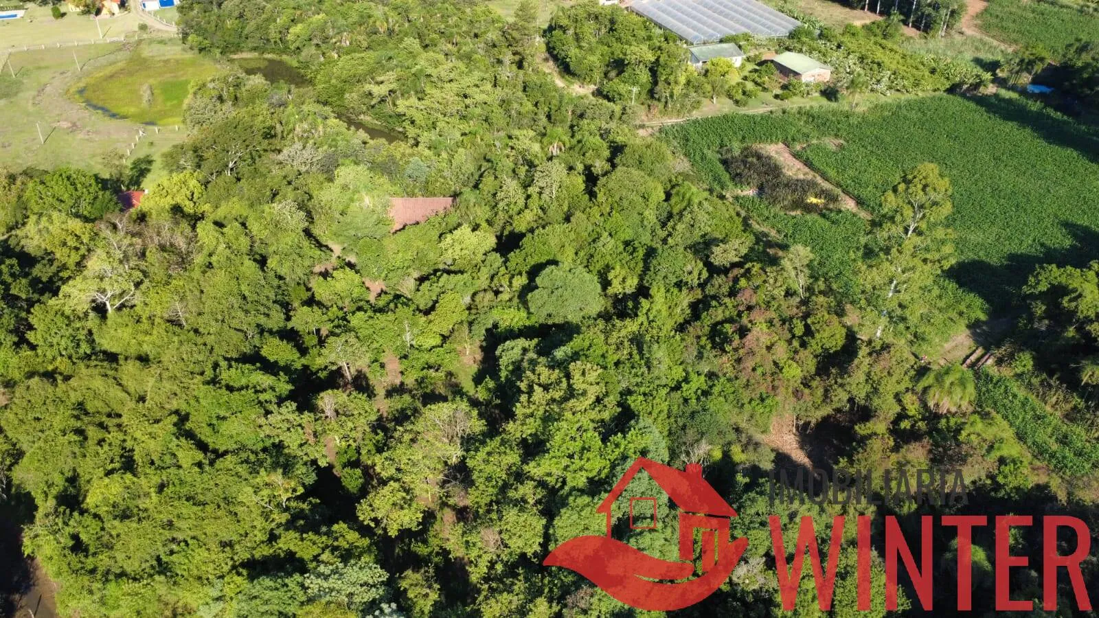 Imagem Área de terras plana com 4.800,00m² em Morro São Pedro, Bom Princípio.