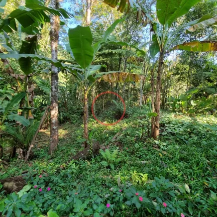 Imagem Lindo terreno na Beira Rio, com 1500 mt com patamar e area de preservaçao.