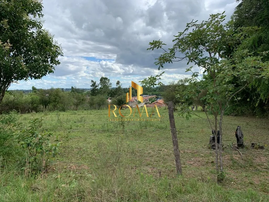 Imagem Campo à venda Tomazetti Santa Maria/RS
