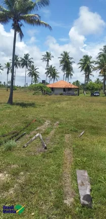 Imagem OPORTUNIDADE DE INVESTIMENTO