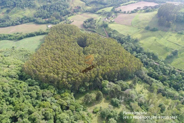 Imagem Terreno para Venda em Concórdia, Planalto
