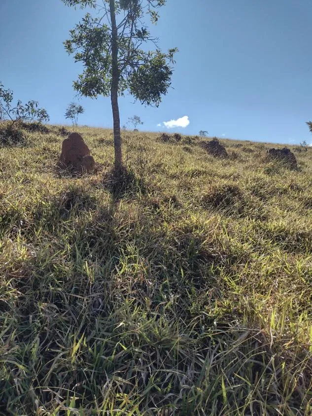 Imagem Vendo terreno em Crucilândia com 48 hectares de terra