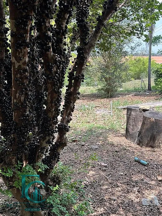 Imagem Condomínio de Chácaras Caminho do Rio ? Aragoiânia