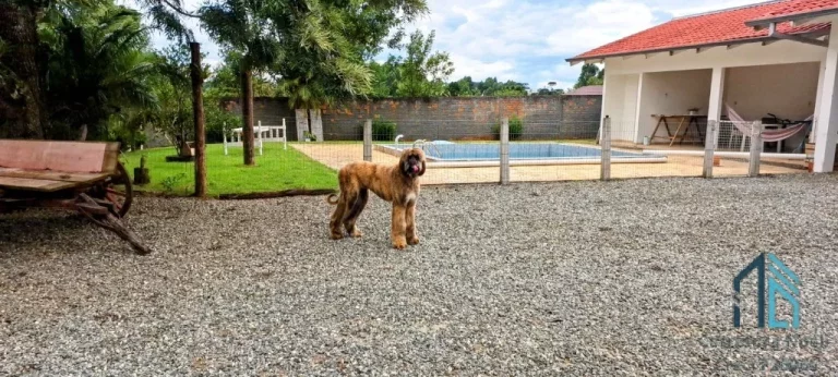 Imagem Sitio a venda medindo aprox. 20.000 mil m², no Centro de Mafra -SC