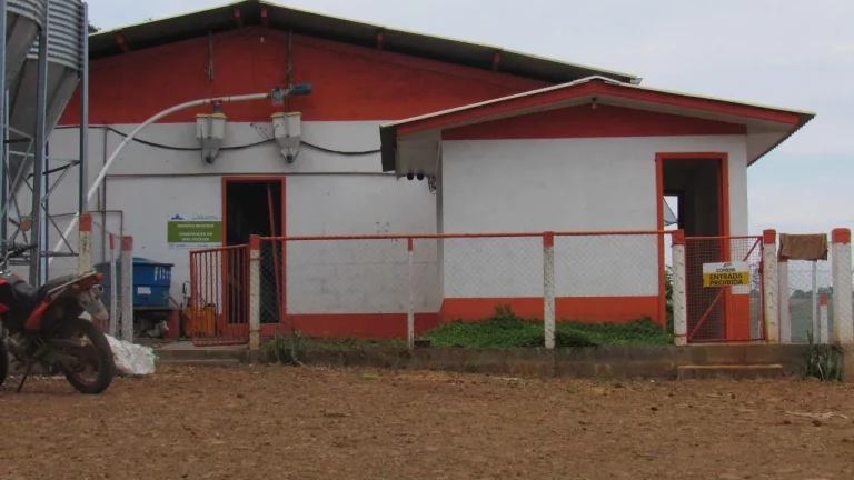 Imagem Área Agrícola para Venda em Peritiba, Lageado Mirim
