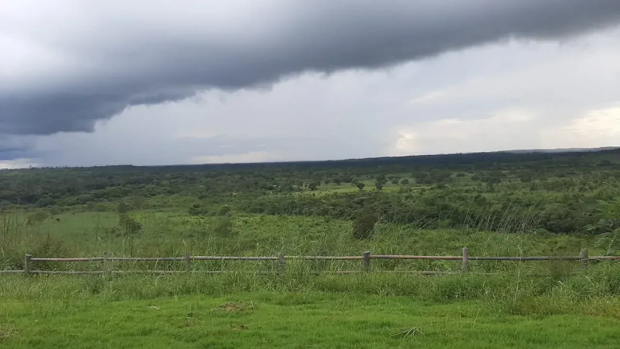 Imagem Fazenda à Venda, 600 HA em Centro - Floresta do Araguaia