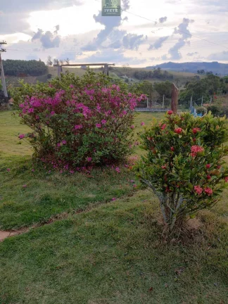 Imagem Chácara Completa à Venda – Oportunidade Imperdível!