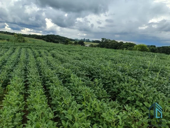 Imagem Terreno com 9,2 Alqueires, área verde ideal para plantio ou construção, em Campo Largo PR