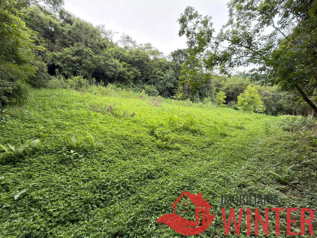 Imagem Area com 10.571 m2 no São Roque, Feliz