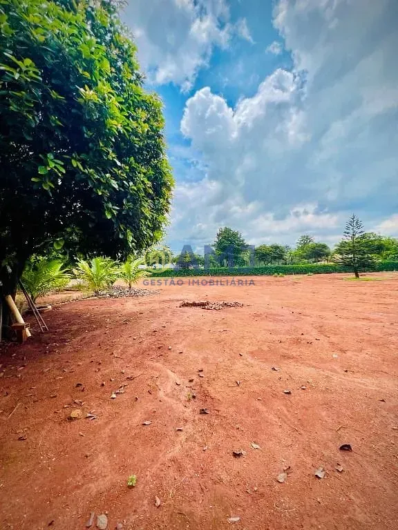 Imagem Entre a Sofisticação e o Verde: Viva com Privacidade e Conveniência no Condomínio Alto da Boa Vista