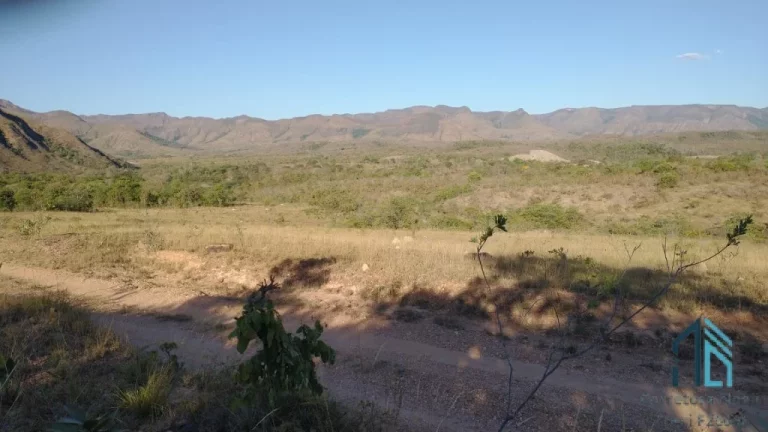 Imagem Fazenda a venda Oportunidade Única em Niquelândia Goiás- GO