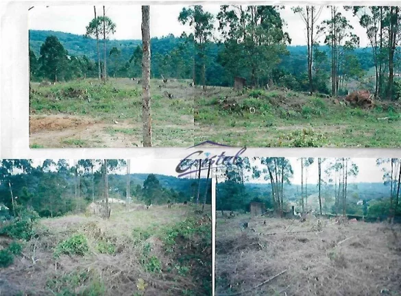 Imagem Terreno à venda, 1550 m² por R$ 420.000 - Embu das Artes - SP
