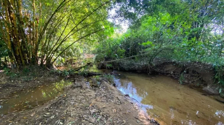 Imagem Chácara para Venda em Antonina, Cachoeira, 3 dormitórios, 1 banheiro