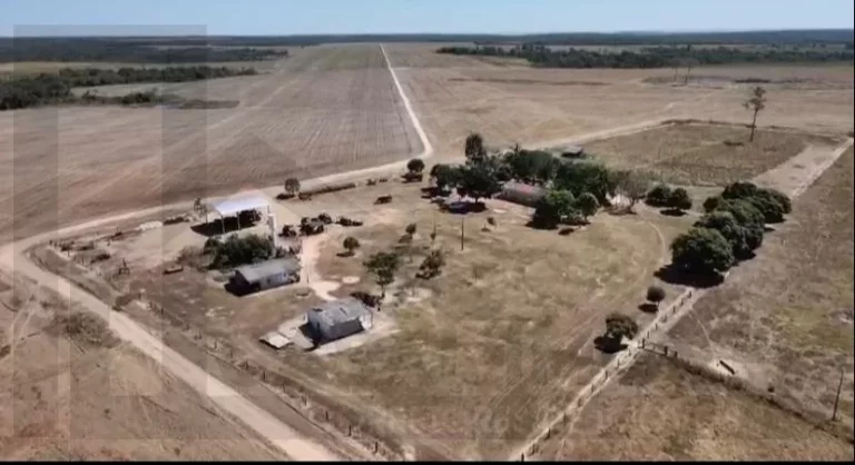 Imagem CASAL IMÓVEIS VENDE FAZENDA SOJA EM NOVA CANAÃ 2.200 HECTARES
