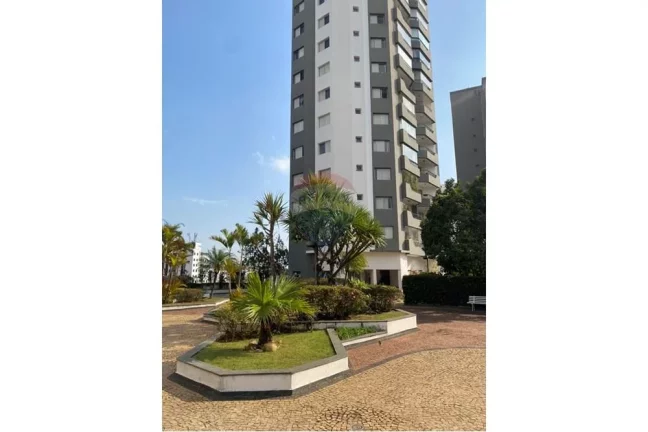 Imagem Excepcional apartamento de 3 dormitórios (1 suíte) na tranquila e arborizada Vila Indiana