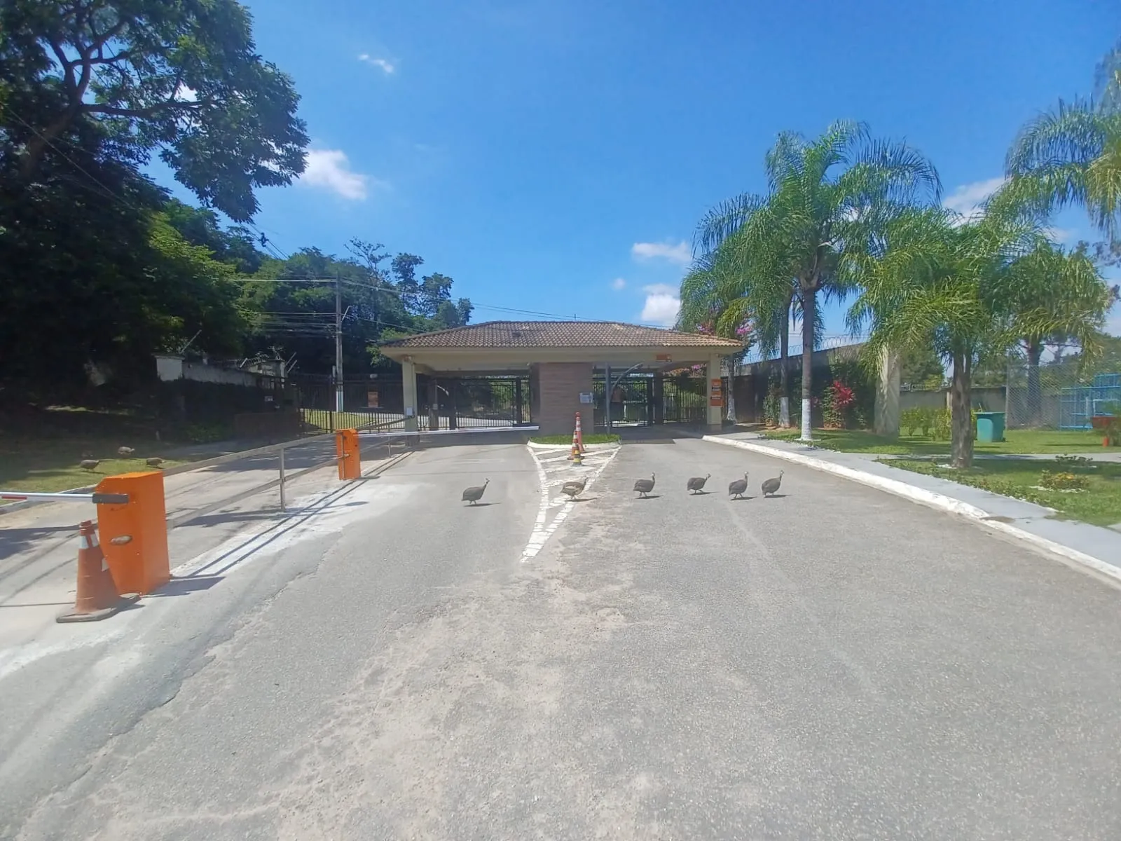 Imagem Terreno 1000m² Condomínio Ibirapuera - Jardim Novo Mundo- Sorocaba - SP