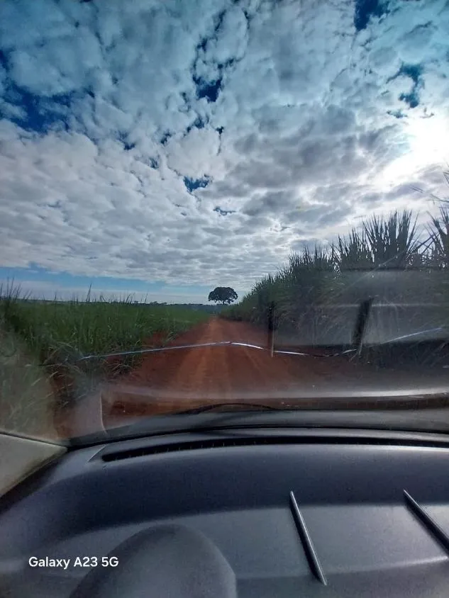 Imagem Vendo excelente fazenda em Lagoa da Prata/MG 376 hectares de terra