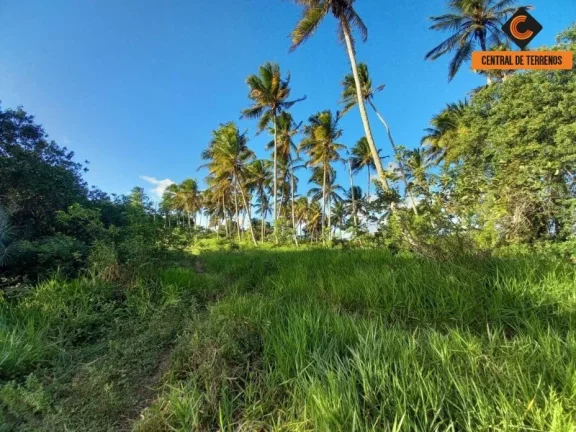 Imagem TERRENO EM BARRA DO JACUIPE ? CAMAÇARI