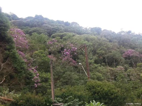 Imagem Sítio para Venda em Ribeirão Pires, Somma, 3 dormitórios, 1 suíte, 2 banheiros, 10 vagas