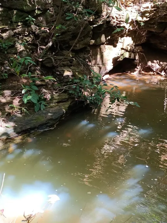 Imagem FAZENDA À VENDA EM SANTANA DO PIRAPAMA ? MG , com 338 hectares de terra