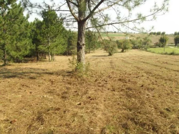 Imagem INVESTIDORES!!! Excelente área de 8 Hectares, frente RS040, Águas Claras