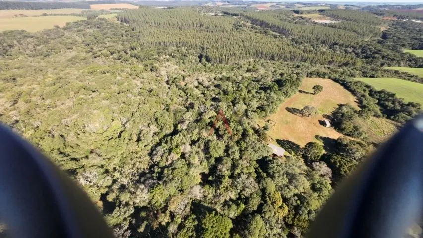 Imagem Sítio à venda com excelentes 24,62ha de área em Guarpuava PR
