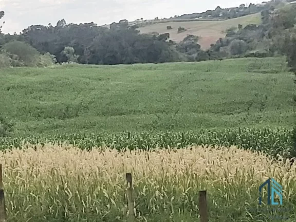 Imagem Sítio com 121.000 mil m² a venda, com Infra estrutura, no IRETEMA /Campo Mourão PR